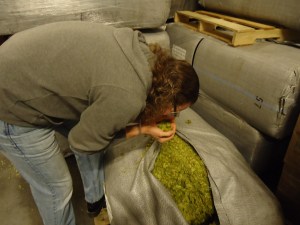 Jeff Smells Some Hops