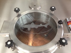 Some 60 Minute IPA brewing.